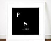 Poodle print art illustration typographic silhouette dog typography alphabet