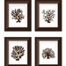 Set of Four 11x14 Chocolate Brown Silhouette Coral Prints with 16x20 Mats