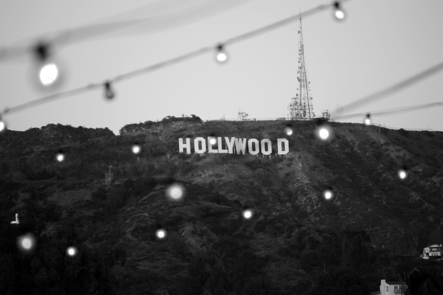 Hollywood Sign, Black and white photograph, 11x14"