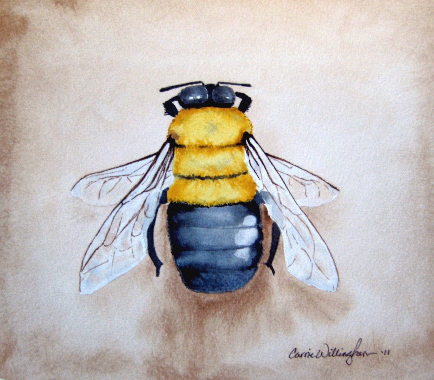 Watercolor bee painting - Bumble Bee -11x12 inch Original Watercolor- bumble bee art, home decor