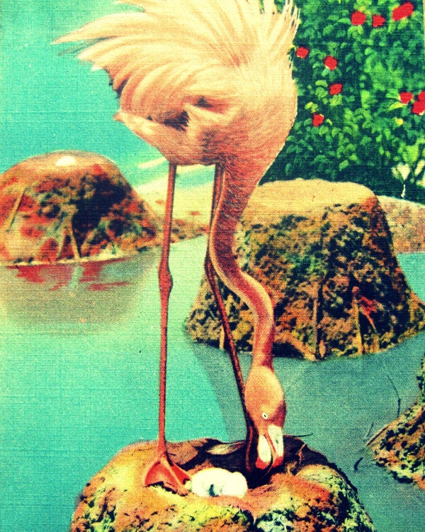 animal photography PINK FLAMINGO beach art photo 1940s kids room nursery 11x14 print vintage Florida bird Large Wall Art tropical decor