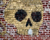 Brick Skull Graffiti 8x10 fine art photograph (two additional sizes available)