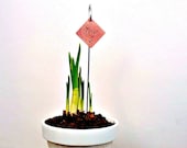 Set of 10 Custom Copper Plant Markers With Burlap Gift Bag  - Your Choice of Plant or Herb Name