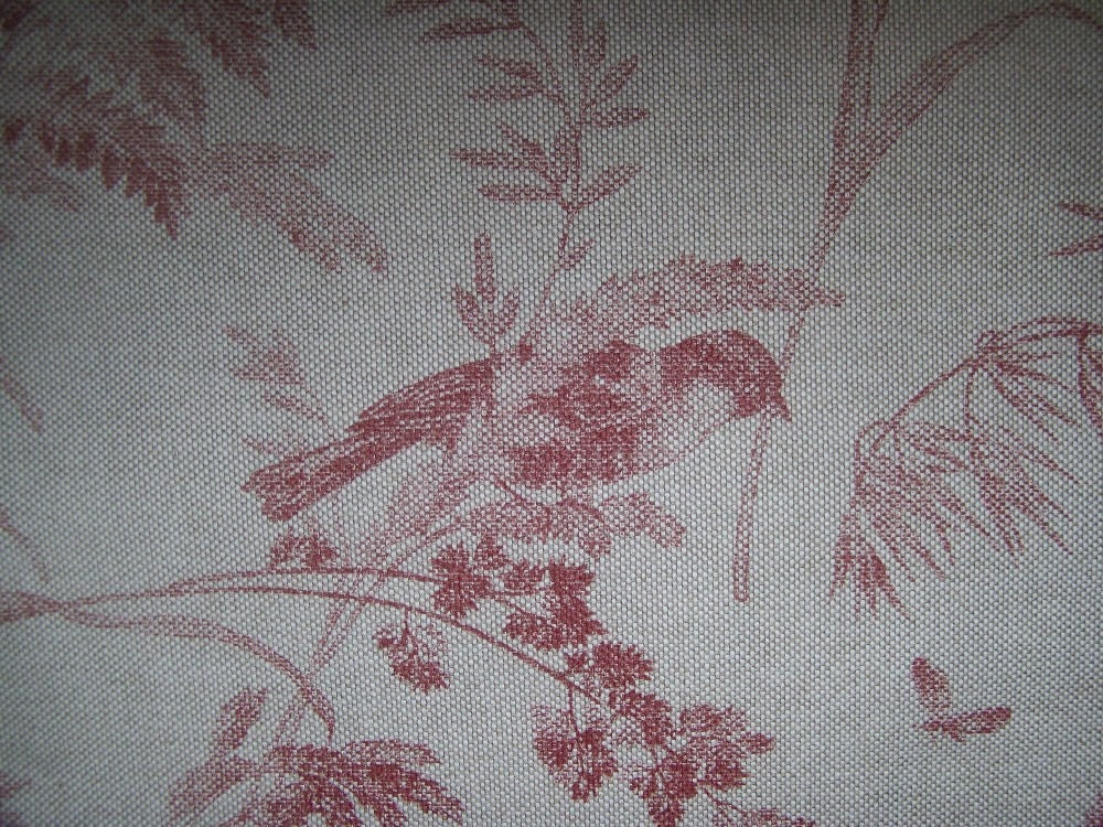 BIRDS in Red Cotton