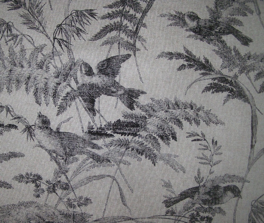 BIRDS Black  Cotton