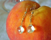 prehnite teardrop briolette drop earrings on 14k gold