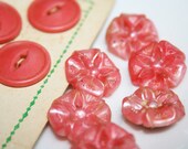 12 Pink Vintage Buttons maybe celluloid