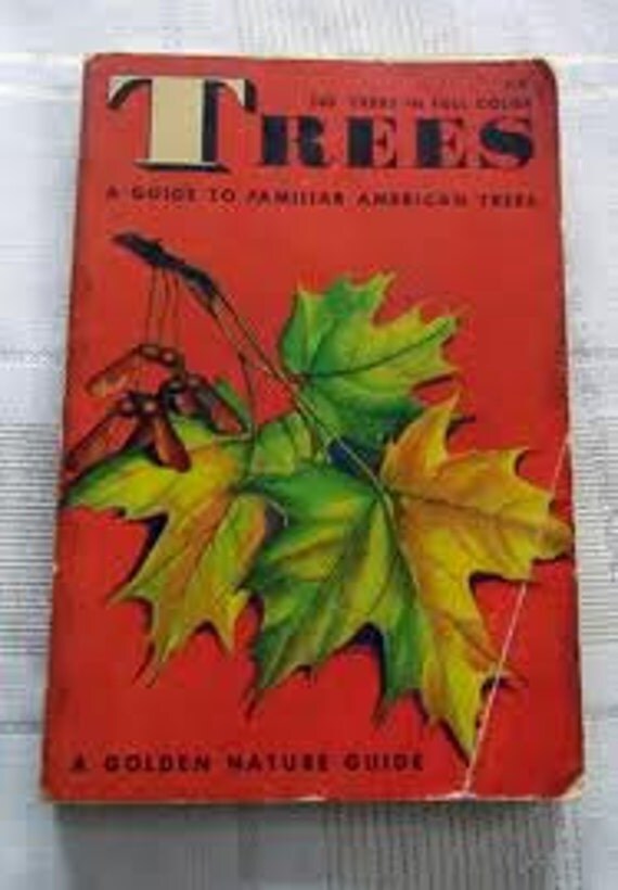 Trees a Guide to Familiar American Trees (A GOLDEN NATURE GUIDE) (1952)