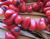 Red Coral Chip Gemstone Beads 16" Strand