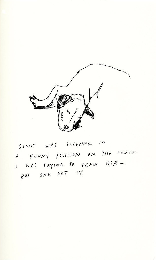 Scout
