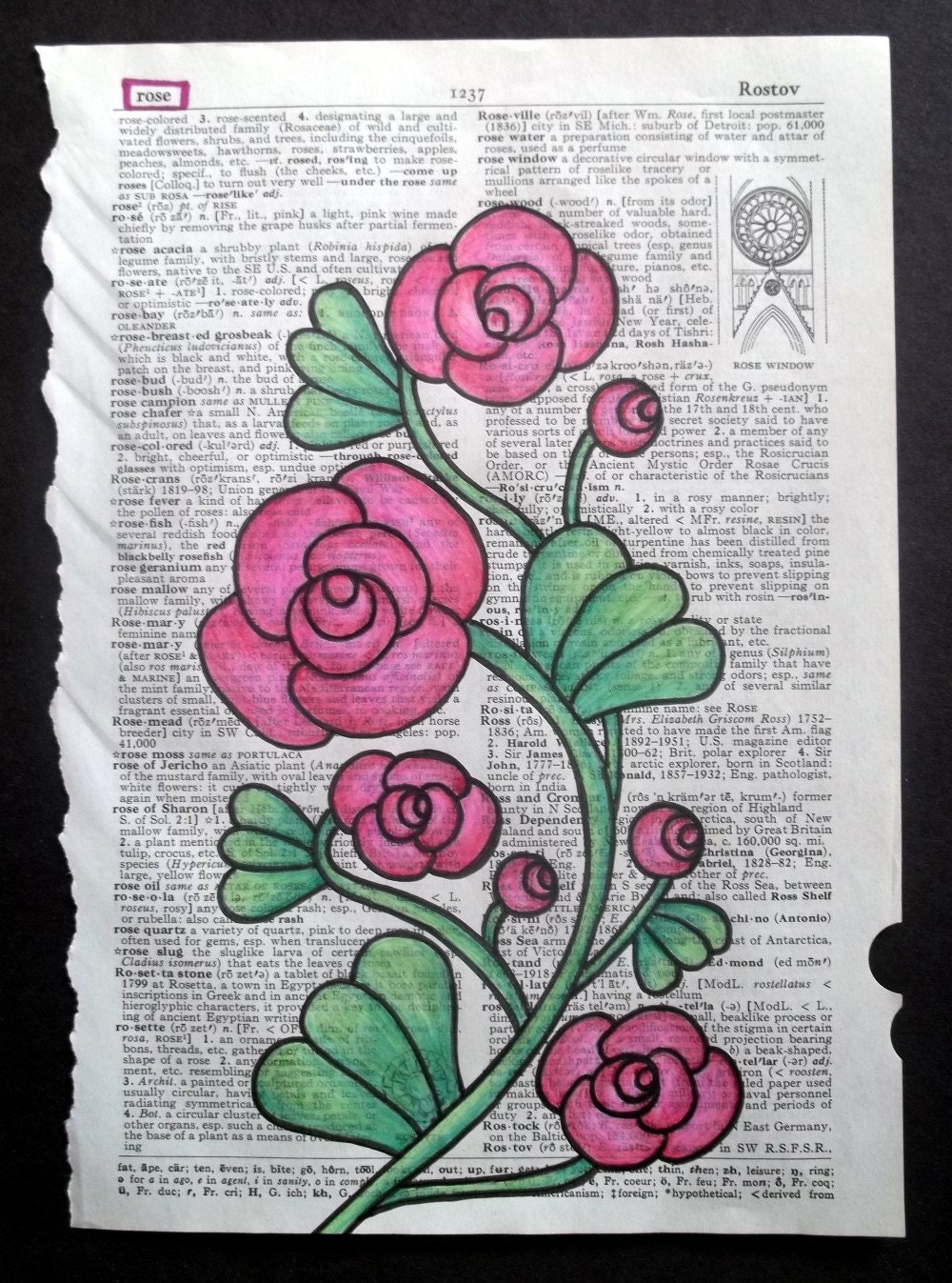 A Rose By Any Other Name...