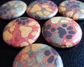 Animal Paw Print Magnet Set of 6 - For Charity