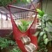 Red Sitting Hammock, Hanging Chair Natural Cotton and Wood