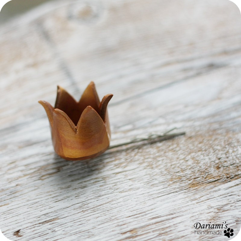 Hair bobby pin - You are my princess