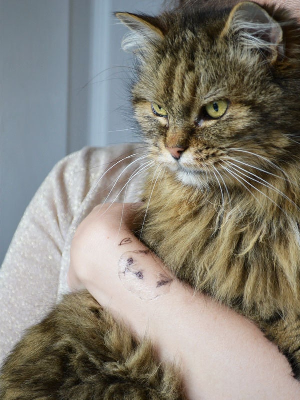 temporary tattoos - set of 7 fake cat tatts - cats - pussycat - kitten - kitty - cattoos