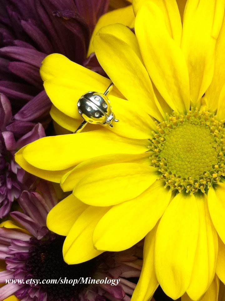 Silver Ladybug Ring
