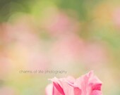 Bokehlicious 8x10 Print
