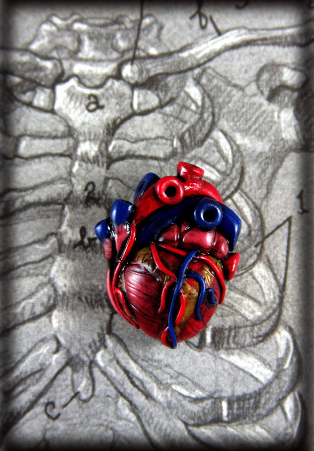 How Much I love You, Anatomical Heart, Pin, Brooch, tie tack, handmade