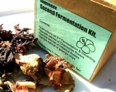 FULL SIZE Kombucha Home Brewing Second Fermentation Kit- Galangal, Ginger, Lemongrass.