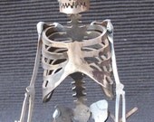 Zombie Skeleton Yoga Pose Zen Lotus