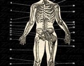 Zombie Shirt - Areas Vulnerable to Zombie Attack T-Shirt