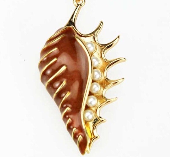 conch shell piercing