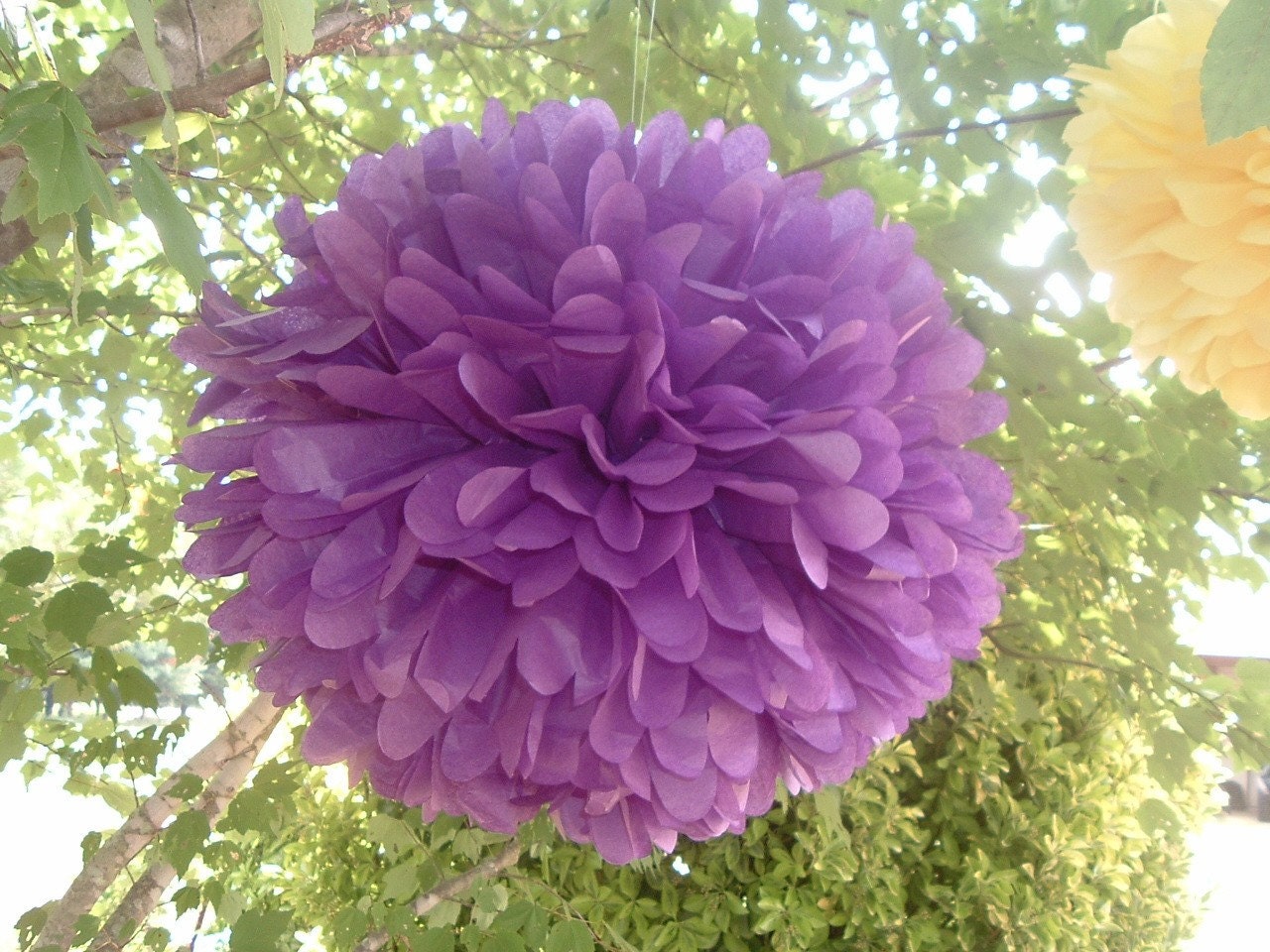 Set of 6 poms.