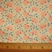Moda Floral Fabric Rose's Arbor 1930 - 1940 Kansas City Star Collection by Barbara Brackman - half yard -Last One