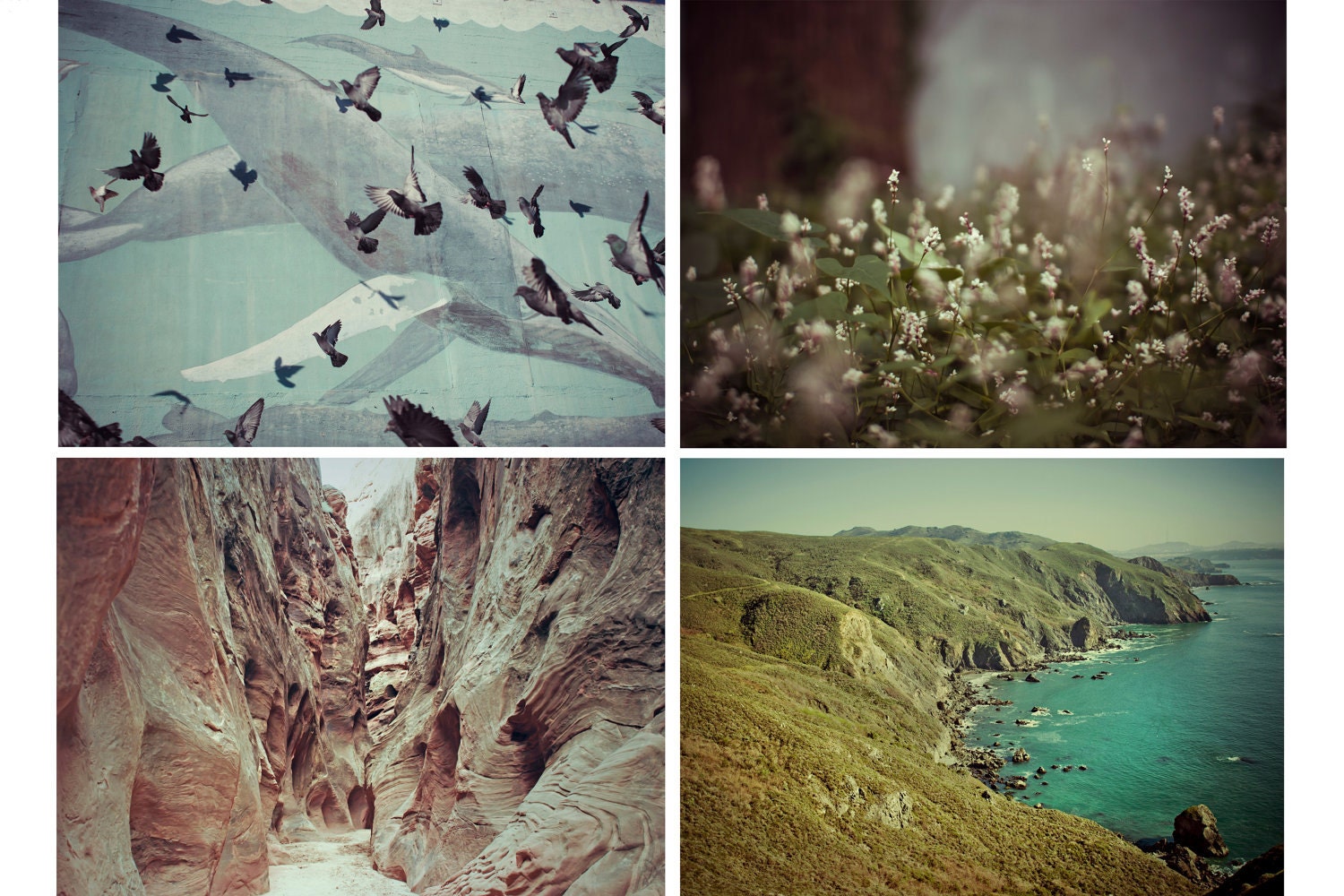 Four Travel Postcards - Post Card Set B - Blank Cards - Erin Drewitz Photography - Summer