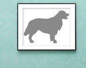 Golden Retriever Dog Art Print