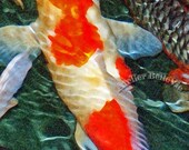 Fine Art Print Set - "Diptych: Koi in Watercolor 2" -  2 8x10 Fine Art Photographic Prints
