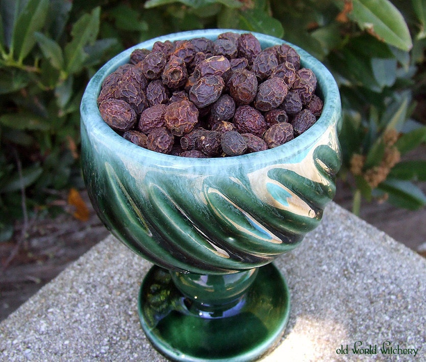 Dried Hawthorn Berries - Faerie and Otherworld - Certified Organic 1oz