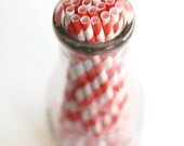 Photo Print 8x10 Kitchen Art - Striped Straws FREE SHIPPING
