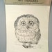 OWL - art PRINT - DRAWING by Besser - printed for Cunningham Art Products - 1971 Stapco - black and white