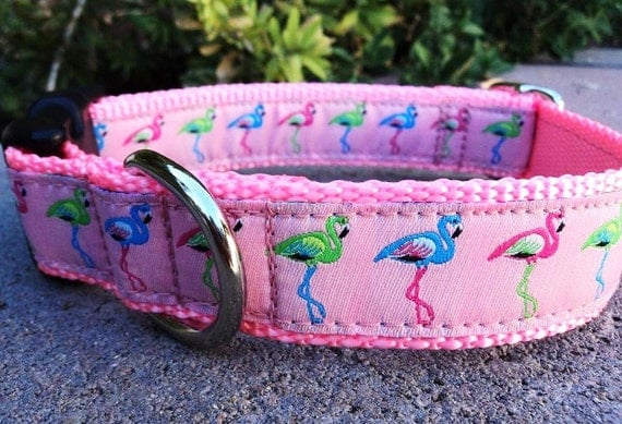 Dog Collar - Colorful Flamingo - Choose Webbing Color img