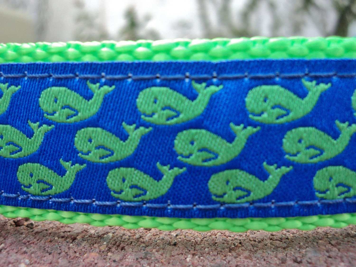 1"or 3/4" Dog CollarAdj. Quick Release - Green Whale Pod- Sm, Med or Lge (Or as a Martingale)Or in 3/4" & 1.5" listings(Choose webbing color img