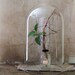 vintage glass dome