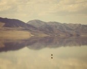 Reflection sepia toned water and mountain scape with a bird flying over Fine Art Metallic photo Print 8x12 - SylviaCPhotography