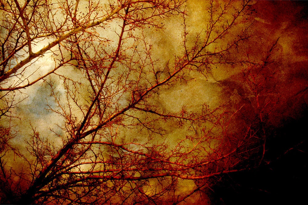 Any 2 4x6's Fine Art Metallic Finish Photos