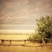 16x20 Fine Art Photo You Choose