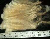 Pure, Romney Fiber, 8 oz. Skirted, Raw, White, Spinning fiber, raw fiber, spinners wash, comb, prepare your own spinning fiber