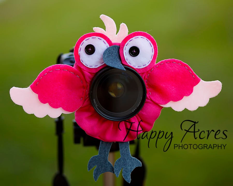 Pink Macaw