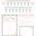 Shabby Chic - Birthday or Baby Shower Decorations , full party package