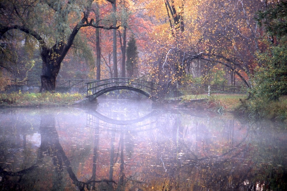 Autumn Reflection Fine Art Photograph