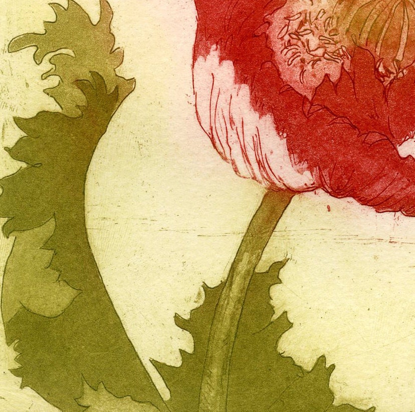 Red Poppy, Original Etching