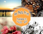 Any Fine Art Photography Print 16x20