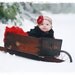 Leopard print headband with red flower - fits newborn infant baby teen through adults