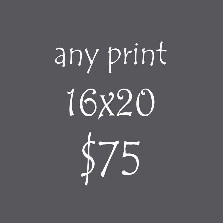 Any 16x16 or 16x20 Giclee Print - Home Decor - Gallery Wall - Canadian Art