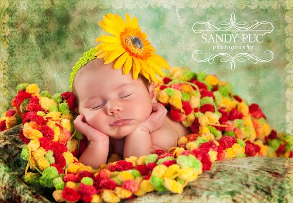 Sandy Puc Photos of my Photo Prop Infant Baby Colorful Mini Blanket Prop. 2x2 'Cirque' Photography Prop Rug
