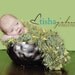 Newborn Photography Wrap Baby Blanket Photography Prop Light Green 'Pear' Rug / Cocoon Baby Wrap